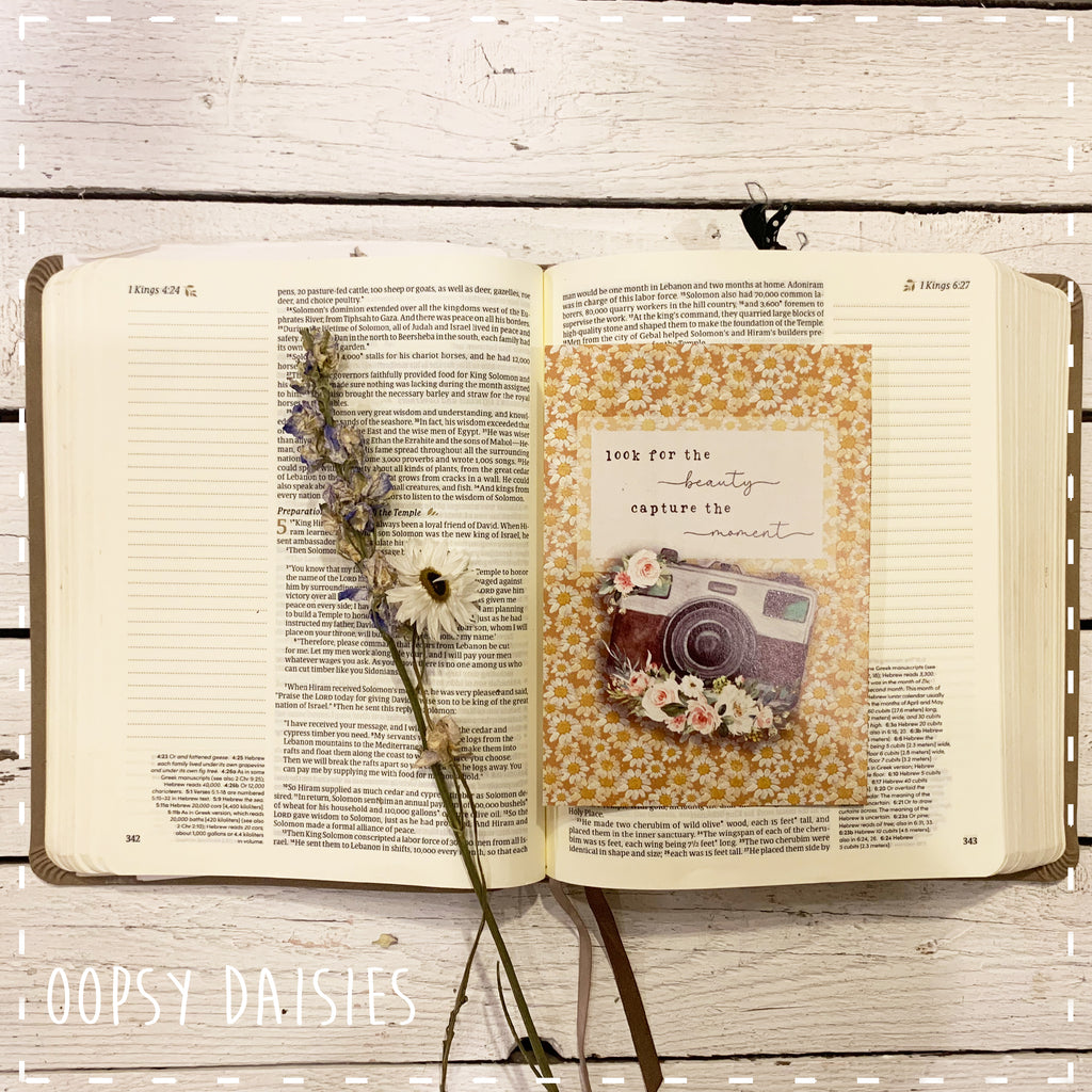 Print / Postcard Daisy Print - Capture the Moment 14259