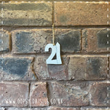 Age Number Plaque - '21' 14358