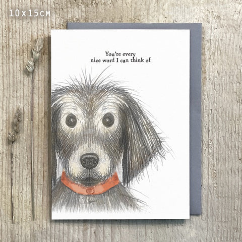 Greetings Card Dog - You're Every Nice Word 14287