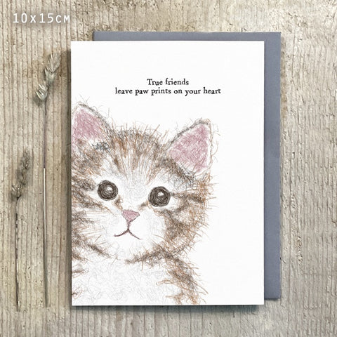 Greetings Card Cat - True Friends 14289