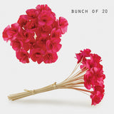 Bunch of Flowers - Pink 12949